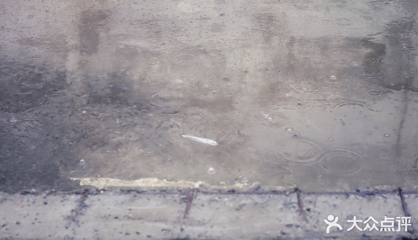 🌈随手印记｜对世界上瘾｜小白学摄影