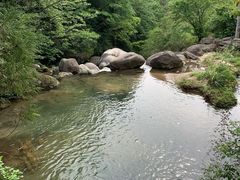 -大围山国家森林公园