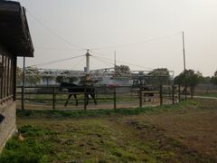 -松声马术俱乐部