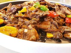 -京北渔家傲