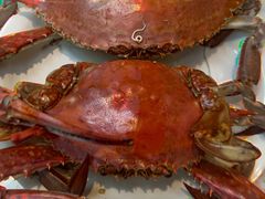-半岛听涛蒸汽海鲜自助(K11店)