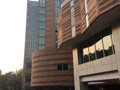-香港大学