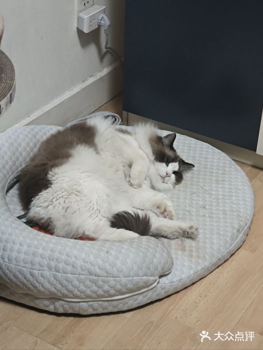 纳吉亚猫专科动物医院博雅分院图片