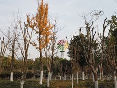 -武昌江滩