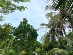 -三亚海棠湾万丽度假酒店