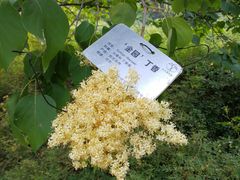 -北京植物园南门售票处
