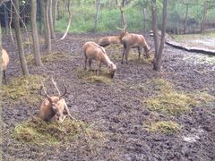 iphone_upload_pic-溱湖国家湿地公园