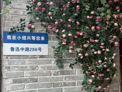 -小绍兴家宴·百年绍兴菜(鲁迅路店)