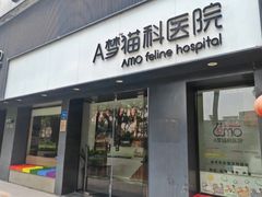 -御宝贝·A梦猫科宠物医院(国际猫友好医院)