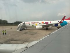 -合肥新桥国际机场-航站楼