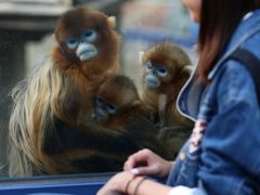 -大连森林动物园