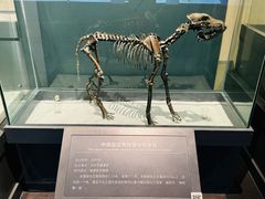 -大庆市博物馆