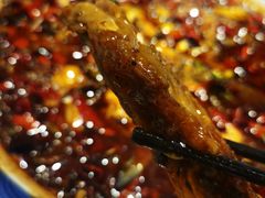 来凤鱼-新概念来凤鱼(璧山店)