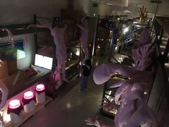 -北京三里屯CHAO酒店