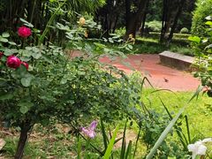 -中南财经政法大学(首义校区)