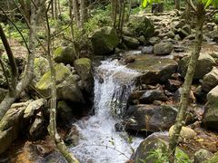 -姑婆山旅游区