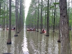 -渌洋湖湿地公园