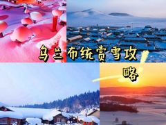 -乌兰布统草原