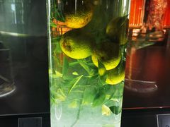 -广东中医药博物馆