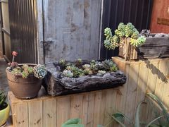 -小厨子私房菜·云南美食店