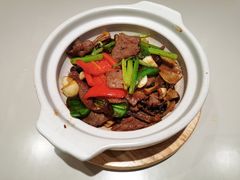 干锅鹿茸菇牛肉煲-蔡澜点心·粤菜(万菱汇店)