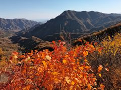 -大岭沟猕猴桃谷风景区