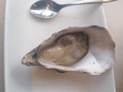 -Oyster Talks 四度蚝法餐厅