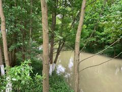 -桤木河湿地公园