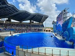 -上海海昌海洋公园