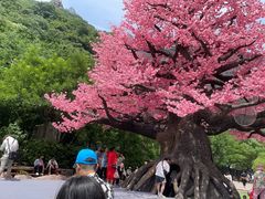 -河南宝泉旅游区
