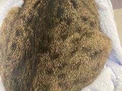 -comecome来吧宠物(奥克斯中心店)