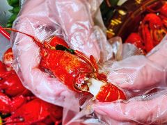 -赤甲皇(仙霞路店)