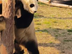 -沈阳森林动物园