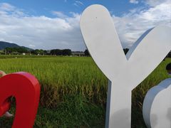 -光明小镇欢乐田园