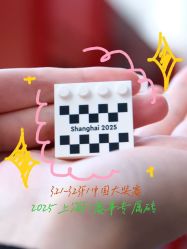 -乐高品牌旗舰店(人民广场店)