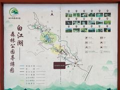 -广州白江湖森林公园