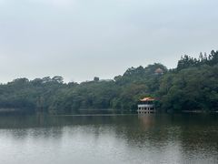-深圳仙湖植物园