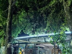 -蘇河湾·新鲁菜·泰山宴(泰山店)