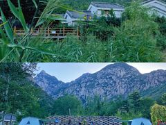 -禅宗少林·音乐大典