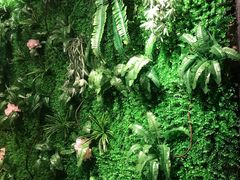 -绿茶餐厅(华联万柳店)