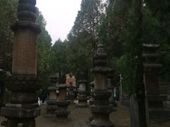 -四门塔风景区