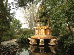 -瑞丽独树成林风景区