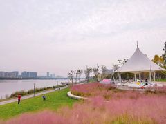 -西安浐灞国家湿地公园
