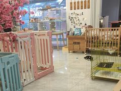 -柴犬小屋·柴餐厅·狗咖食堂(金鼎广场店)