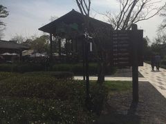 -田园东方蜜桃村的田野营地