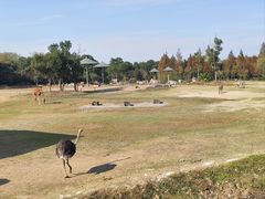 -宁波野生动物园