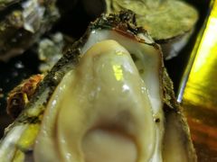 -黄师傅湿辣牛肉(胡桃里店)