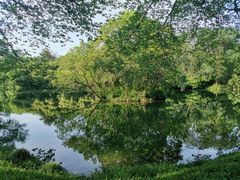 -西湖天地