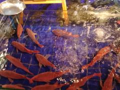 -79号渔船海鲜饭店(华强北店)