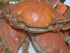 -张树军海鲜(王府壹号店)